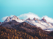 乒乓球混合团体世界杯 国乒8-5收获八连胜